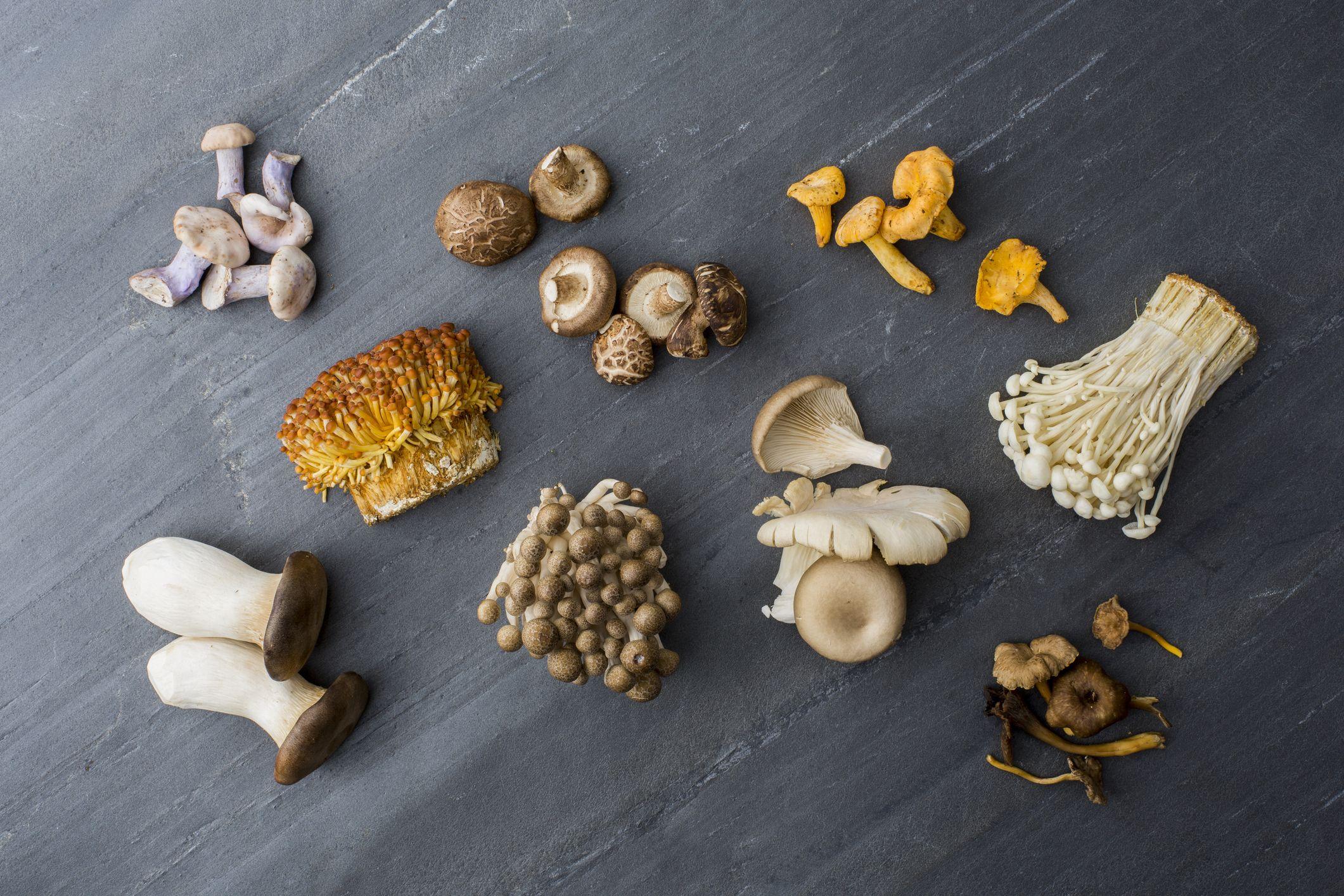 Сколько держат грибы. Грибы Тайланда съедобные. Types of Mushrooms. Замороженные грибы. Types of Edible Mushrooms.