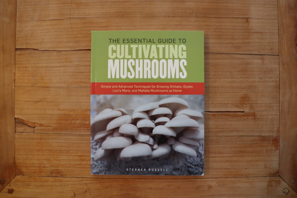 Comment s'initier à la culture de champignons maison?